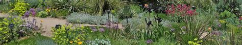 Gardening With Native Plants Colorado Native Plant Society