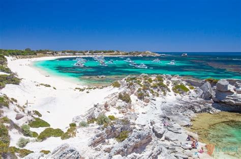 why rottnest island should be on your australian bucket list