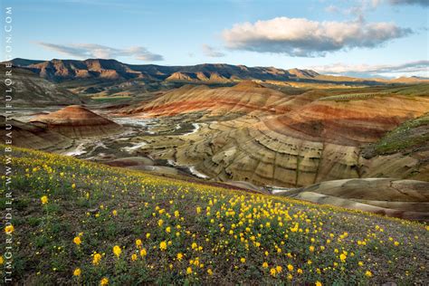 Painted Hills John Day Fossil Beds Eastern Oregon Photography 517 178
