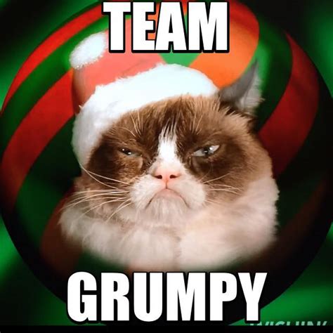 Team Grumpy Cat Christmas Edition Grumpy Cat Know