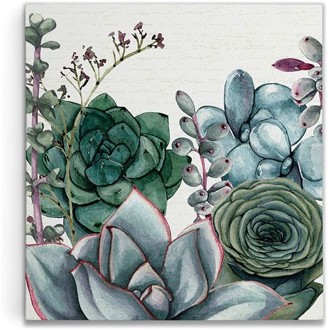 Amazon Com Renditions Gallery Succulent Garden I By Susan Jill Gallery Wrapped Canvas Wall Art