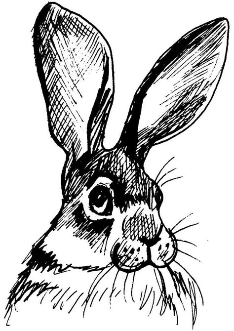 Colorie le lapin en beige, sa queue et sa poitrine sont beaucoup plus claires. Dessin-coloriage animal : tete de lapin longues oreilles ...