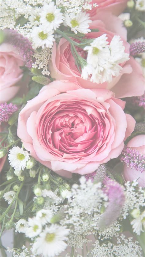Free Floral Phone Wallpapers • Summer Collection • Capture By Lucy