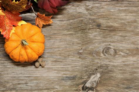 Pumpkin And Fall Leaves Background Free Stock Photo Public Domain