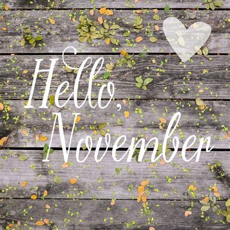 And All The Blessings That You Have To Offer Hello November