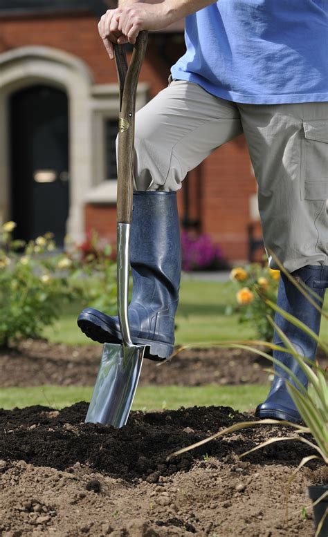 On perennials in the border. JBY0213 Stainless Steel Digging Spade | Garden tools ...