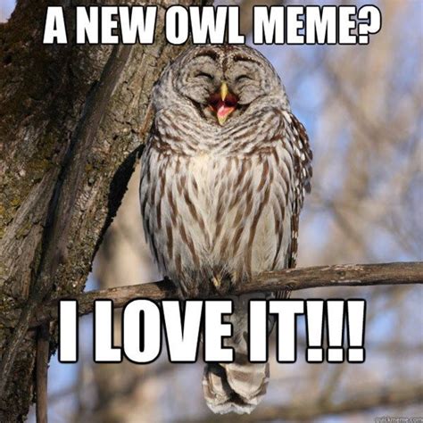 28 Memes Of Owls Behaving Like Hoomans Owl Funny Owls Owl Meme