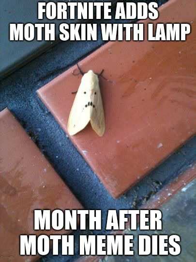 moth meme idlememe