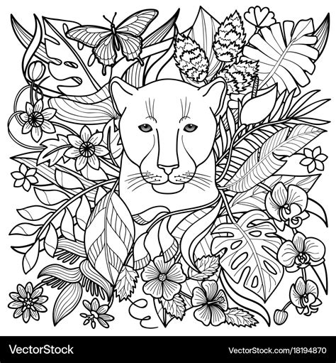 Panther Coloring Page Royalty Free Vector Image