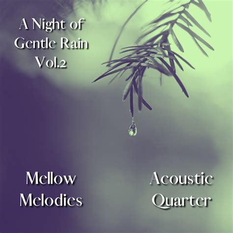 A Night Of Gentle Rain Vol2 Album By Acoustic Quarter Mellow