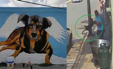 Dedican Mural Al Perrito Scooby Fue Arrojado A Cazo De Aceite Hirviendo Puebla En Linea