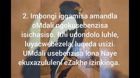 Inkondlo Udondolo Umbuzo Omude Umqondo Osobala Ibanga Le 11 Youtube