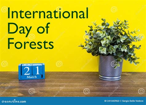 International Day Of Forests Stock Image Image Of Banner Environment