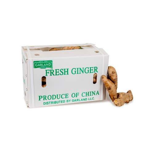 Fresh Ginger Box Garland Food