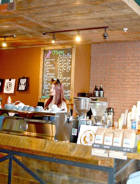 3 Unique Coffee Shops In The Seattle Area Maple Leopard