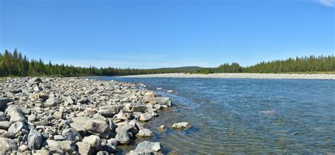 Summer Panorama Of The Taiga River In The Polar Urals Stock Image