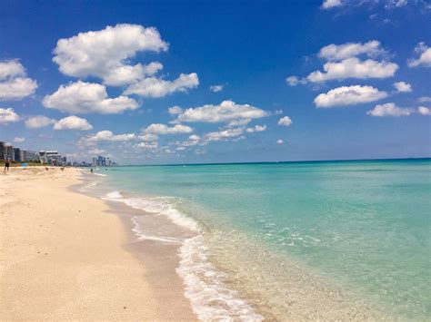 Visit North Beach Best Of North Beach Miami Travel 2022 Expedia Tourism