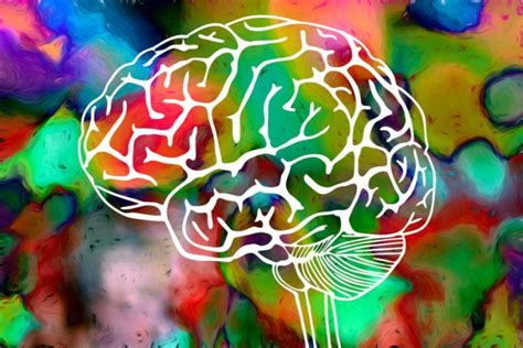 Psychedelic Drugs Help Users Reach Higher States Of Consciousness