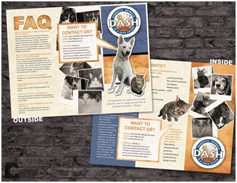 Bright And Playful Tri Fold Brochure For Dash Animal Shelter Photos
