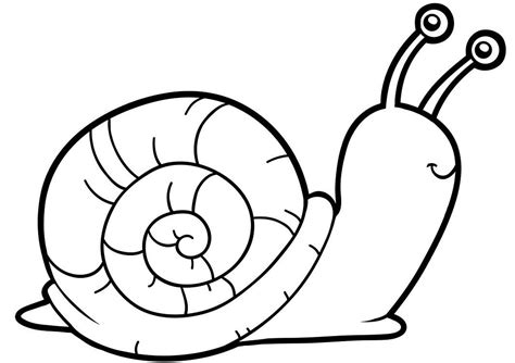 Cute Snail Coloring Pages Coloring Rocks Insect Coloring Pages