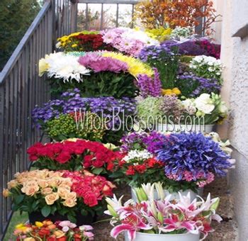 Wholesale fresh cut flowers online. Wholesale Flowers | Buy Fresh Cut Flowers Online | Whole ...