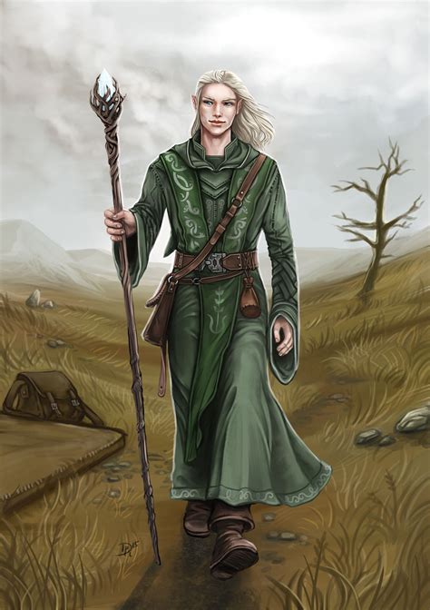 Dsa Aelindir Von Lowangen Fantasy Wizard Character Portraits