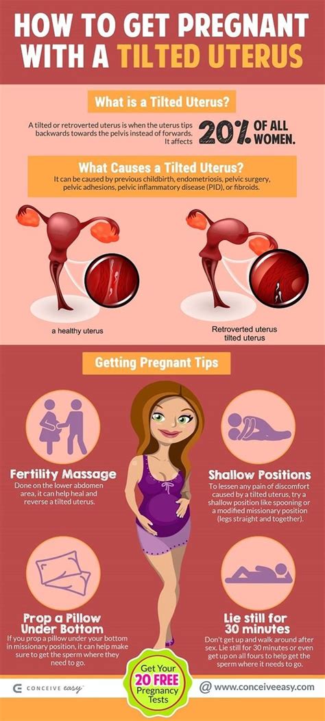 Top Ovulation Symptoms Infographic Conceive Easy Vrogue Co