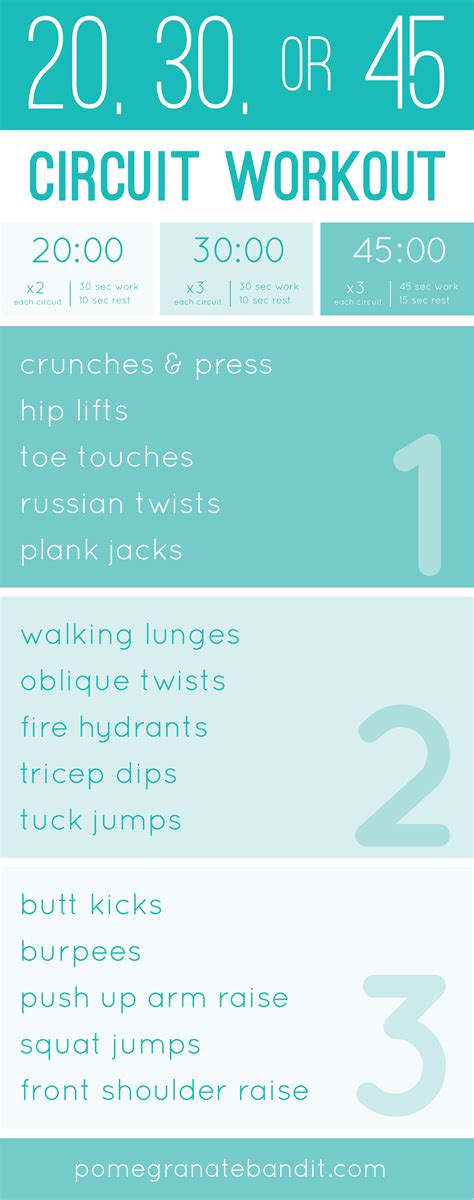 45 Minute Full Body Workout Shrinkinguy Fitness 12a