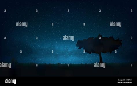 Night Shining Starry Sky Lonely Tree In The Meadow Dark Blue Space