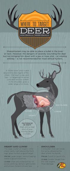 Deer Hunting Caliber Chart