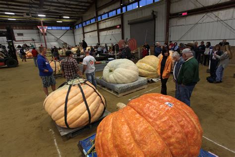 Enormous Pumpkin Contest Held At Topsfield Fair The Boston Globe