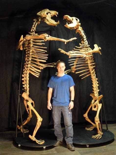 Prehistoric Cave Bear Skeleton