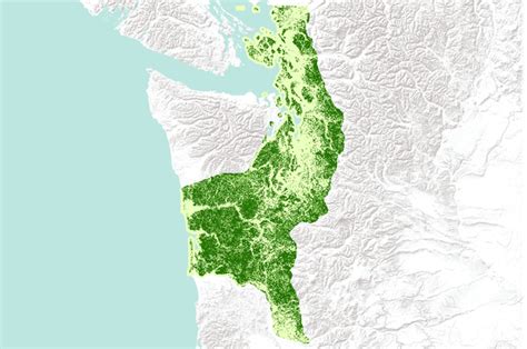 Vegetation Cover For The Western Lowlands Washington Physiographic