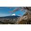 Chureito Pagoda The Best View Point Of Mt Fuji  Japan Web Magazine