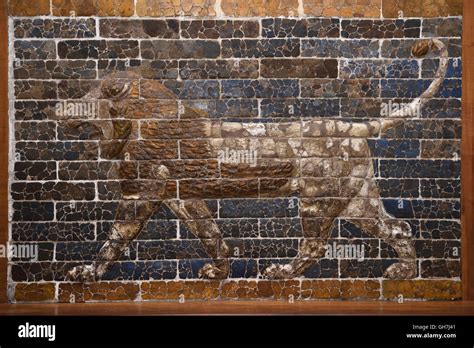 Glazed Brick Wall Relief Of Lion From The 6th Century Bc Neo Babylonian