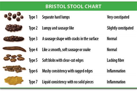 Is Your Poop Healthy The Bristol Stool Chart Shows What It Should Look