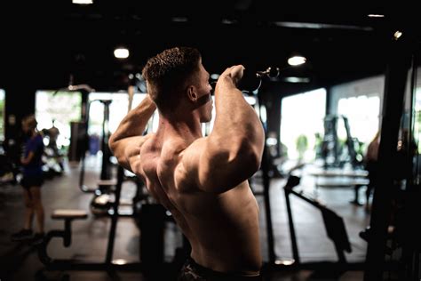 Best Lower Trap Exercises For Bodybuilding And Strengthening