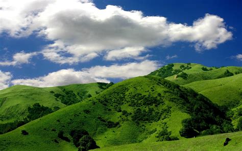 Las Montañas Verdes Nubes Árboles Fondos De Pantalla Las Montañas