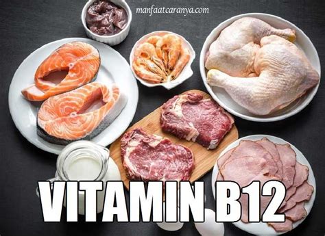 ️ Manfaat Vitamin B12 Dan Contoh Sumbernya Manfaatcaranyacom