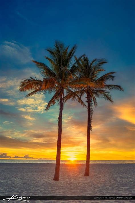 Two Coconut Palm Tree Sunrise At Beach Beautiful Landscapes Beautiful Beaches Palm Trees Beach