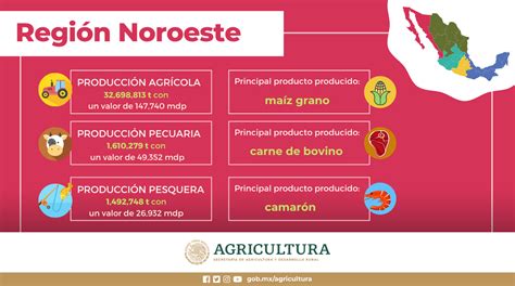 Regiones Agroalimentarias De México Secretaría De Agricultura Y