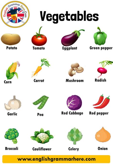 Vegetables Names Definition And Examples English Grammar Here