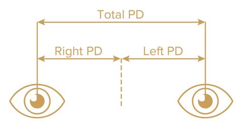 Pupillary Distance Explained How To Measure Pd Lensmart Online