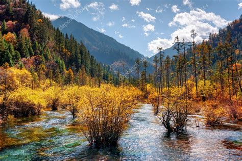 Amazing River With Crystal Water Among Fall Forest And Mountains
