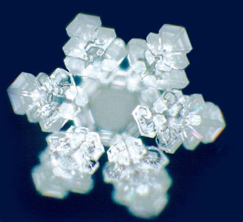 Water Crystals And Masaru Emoto Mymovingstills