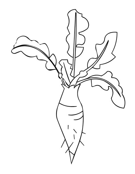 Color tree roots and background. Radish Coloring Page at GetColorings.com | Free printable ...