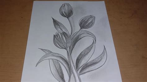 Sketsa Bunga Tulip Ayo Belajar Menggambar Dengan Pencil Youtube