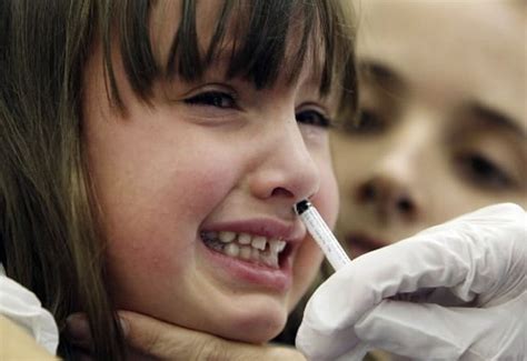 H1n1 Swine Flu Vaccinations Set To Begin In Pioneer Valley