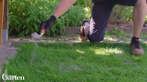 Bringen sie ausschließlich asche von unbehandeltem holz im garten aus. Holzasche im Garten als Dünger verwenden - Mein schöner Garten
