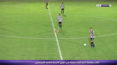 تحفظت إدارة المصرى البورسعيدي على اتجاه لجنة المسابقات بشأن عدم إيقاف الدورى أثناء ارتباطات المنتخب الأوليمبى ومشاركاته الودية، والرسمية ب دورة طوكيو الأوليمبية، وما سيترتب على ذلك من حرمان الفريق البورسعيدى من مجهودات الثنائى كريم العراقى وحسن. كلب يسقط لاعبا أثناء مباراة في الدوري الدرجة الثالثة ...